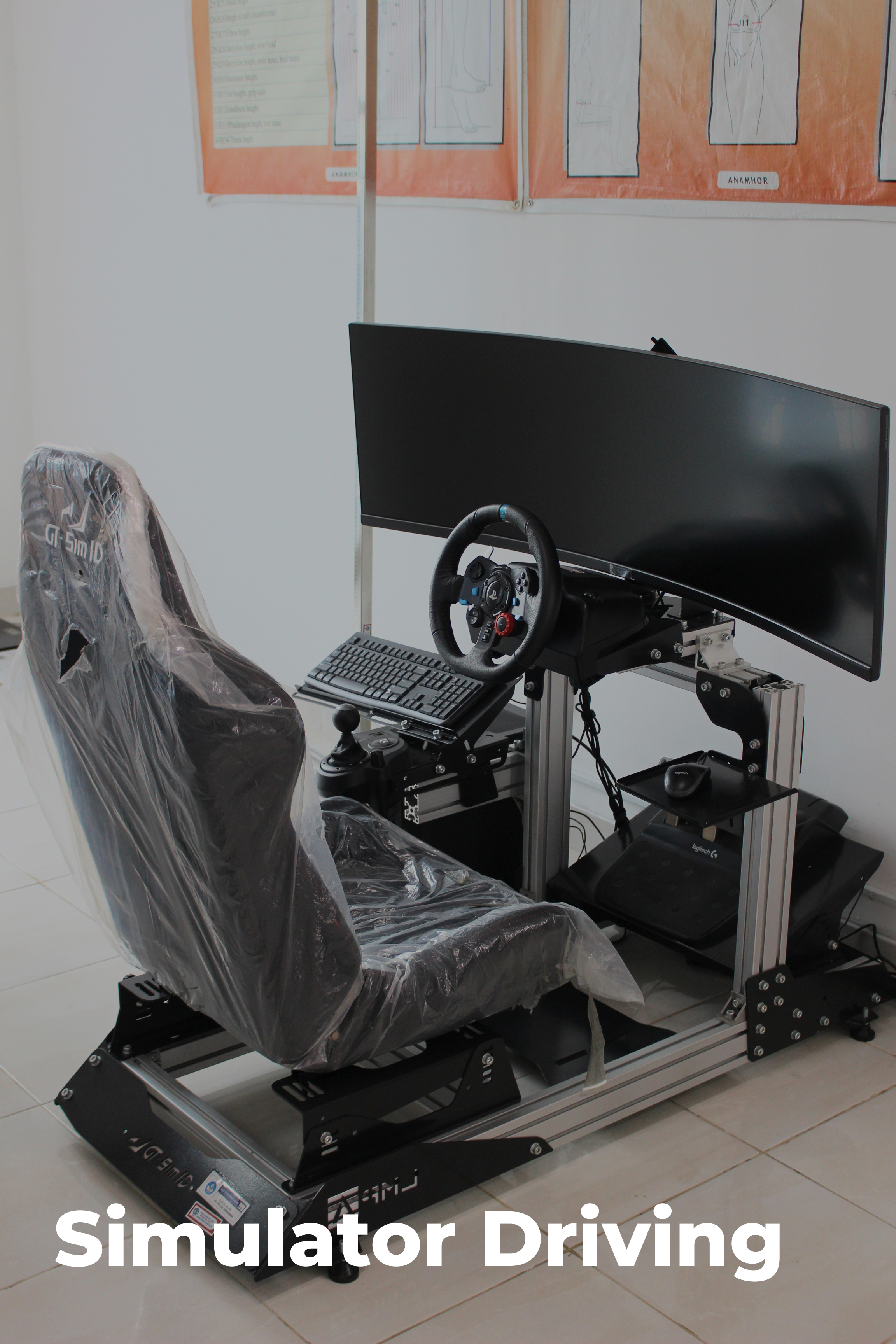 Simulator Driving